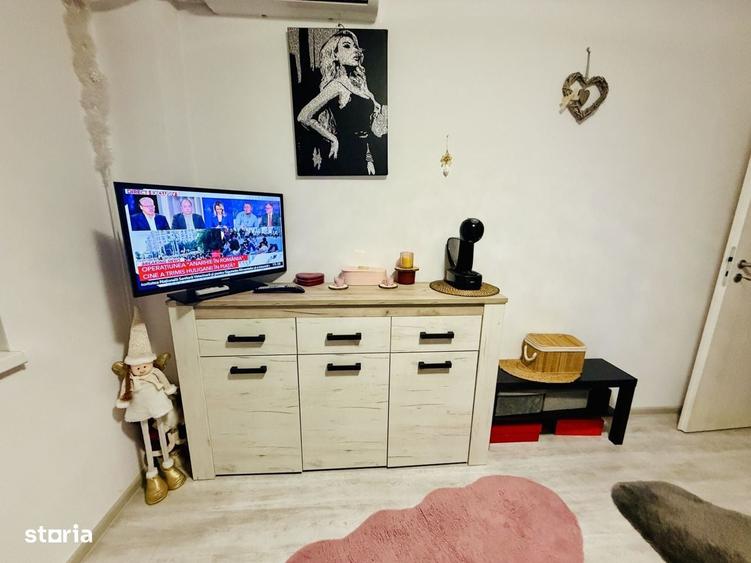 Apartament 2 camere Str Tineretului mobilat si utilat complet zona lin - 2