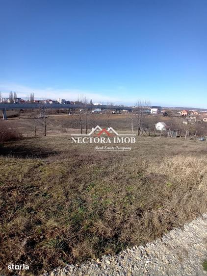 NECTORA IMOB-Parcele teren Intravilan Baile 1 Mai, parcele alipite,PUZ - 5