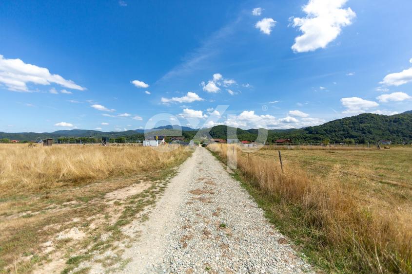 Teren Construcții intravilan de 4260 mp, în Glăjărie