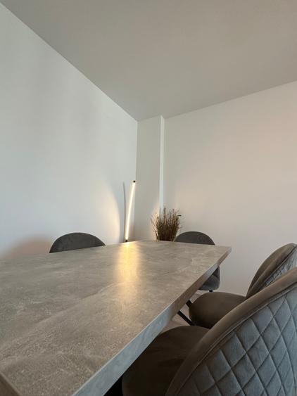 Apartament cu 2 camere decomandat, mobilat în Theodor Pallady — fotografia 3