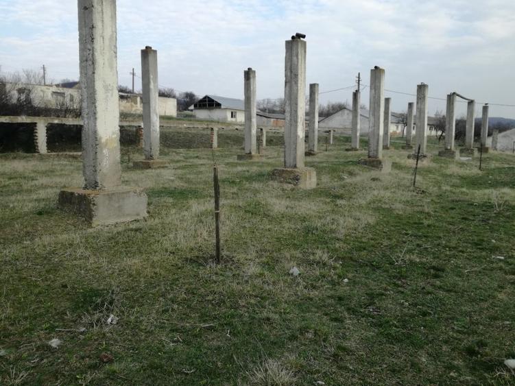Spațiu comercial, de 16,400 mp, în Pâncești