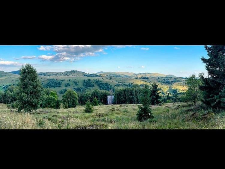 Teren de 1000 mp, în Muntele Băișorii