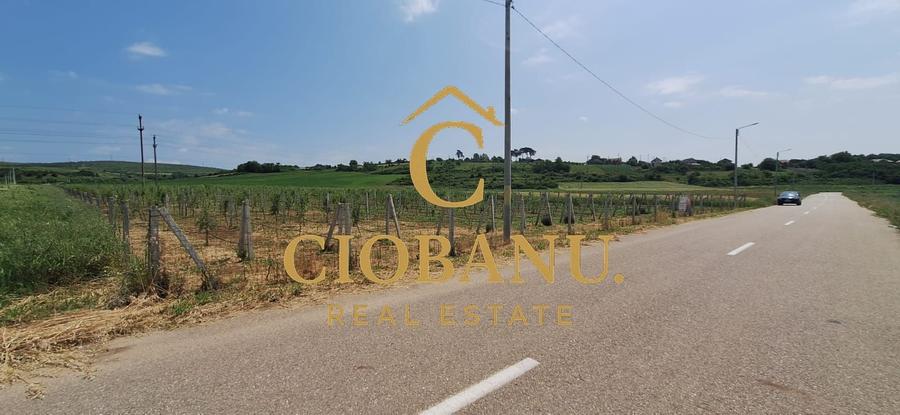 Teren agricol intravilan de 9000 mp, în Exterior Nord