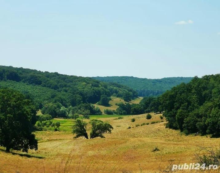 Teren de 50000 mp, în Central