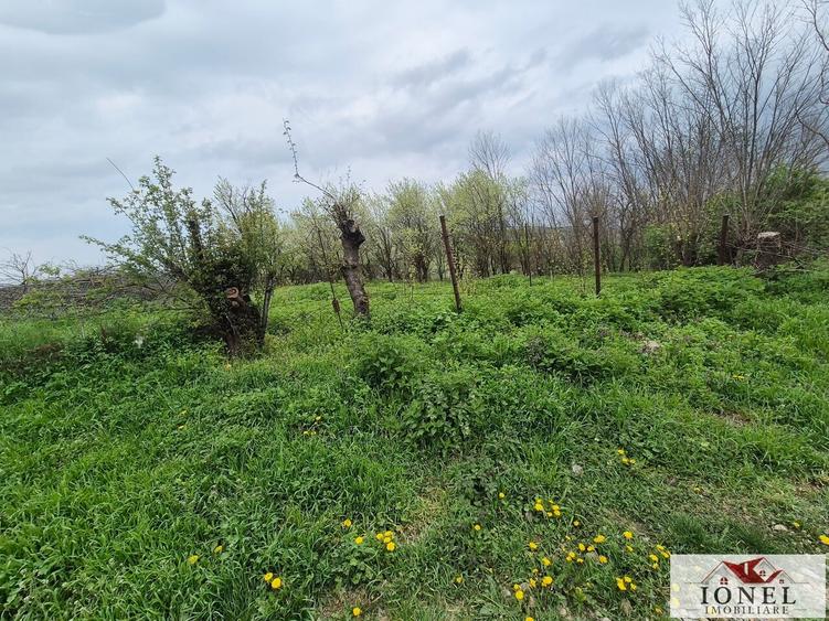 Teren Construcții intravilan de 1295 mp, în Straja
