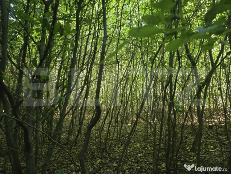Teren de 524 mp, în Făget