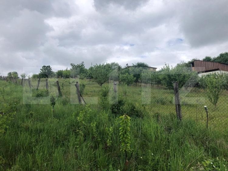 Teren Construcții intravilan de 10656 mp, în Nord