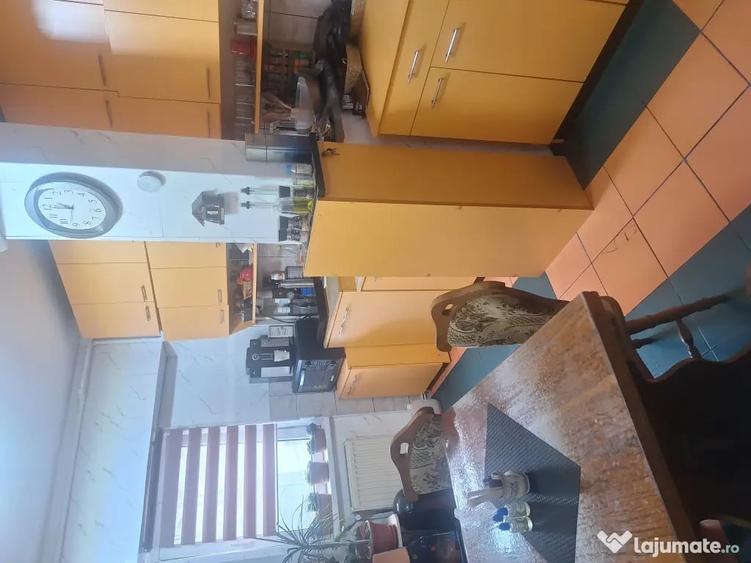 Apartament cu 2 camere decomandat în Turnișor