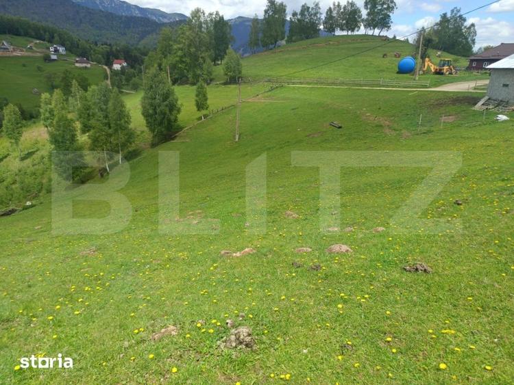 Teren de 4649 mp, în Peștera