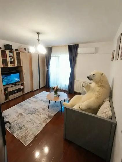 Apartament cu 2 camere decomandat în Primăverii
