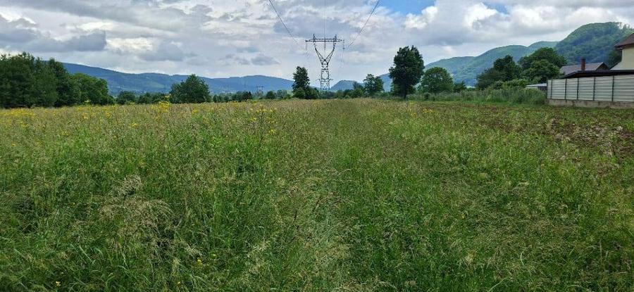 Teren de 2650 mp, în Vad