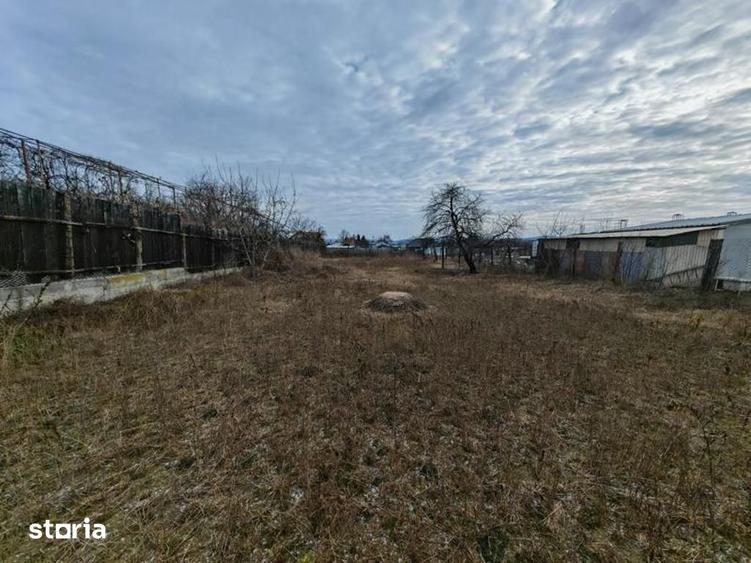 Teren de 1660 mp, în Letea Veche