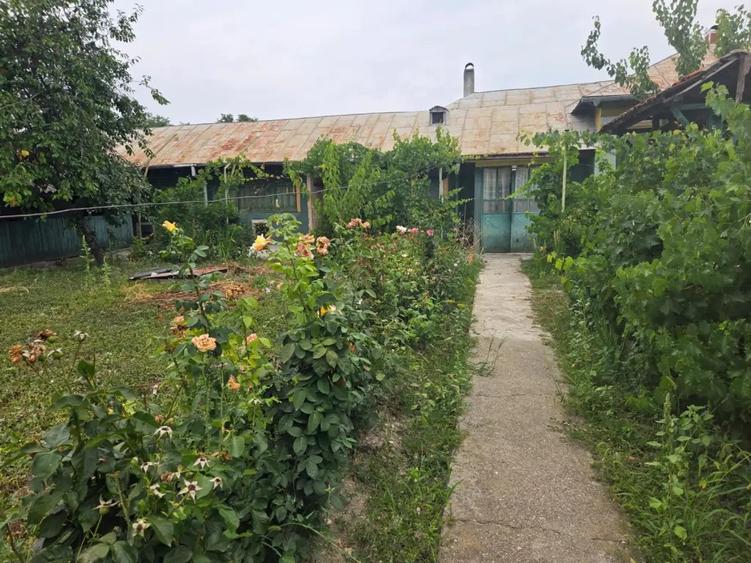 Casă cu 5 camere cu Teren 1772 Mp în Mavrodin