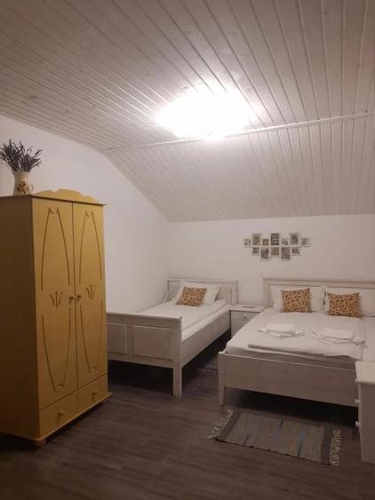 Casă cu 3 camere cu Teren 165 Mp în Sasca Montană