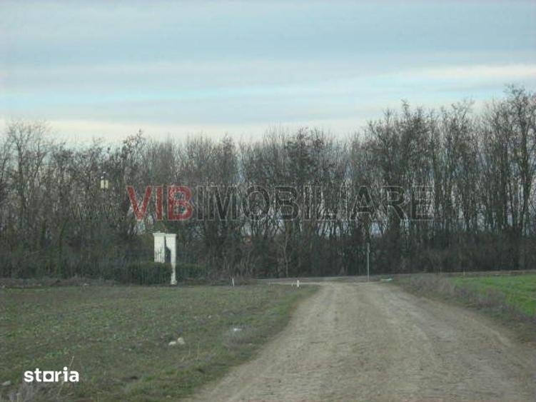 Teren de 61830 mp, în Belciugatele