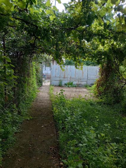 Casă cu 3 camere cu Teren 950 Mp în Hăbud