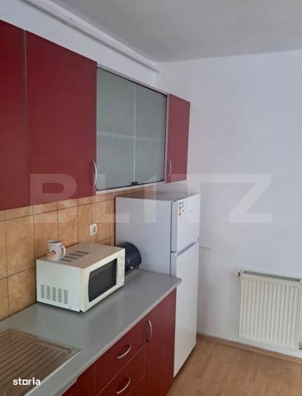 Apartament cu 2 camere decomandat în Viișoara