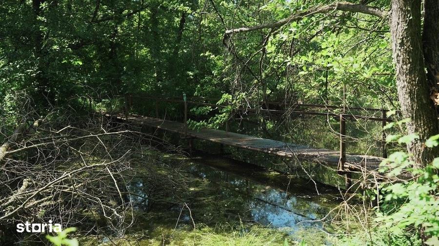 Teren de 63000 mp, în Vânătorii Mici