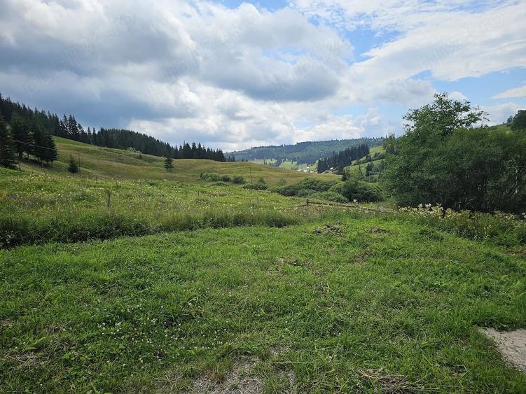Teren de 10261 mp, în Breaza