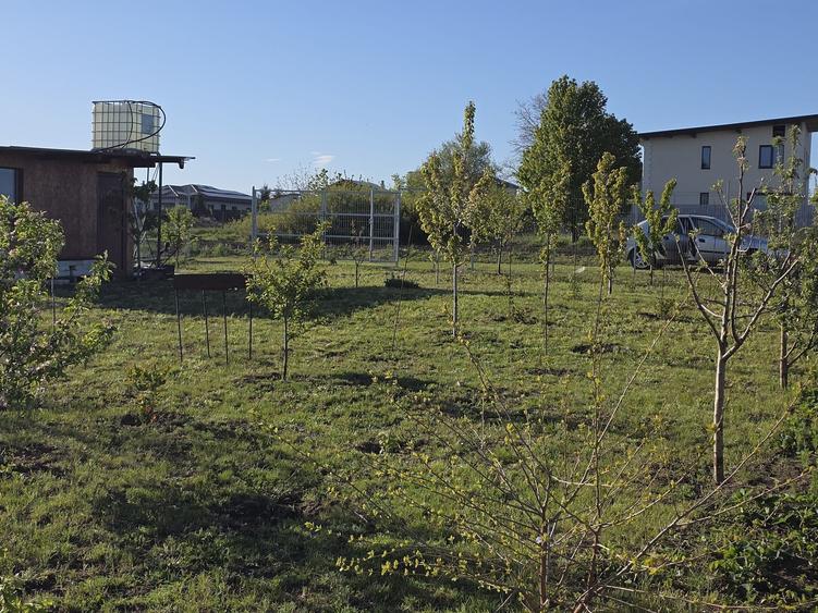 Spațiu comercial, în Valea Lupului
