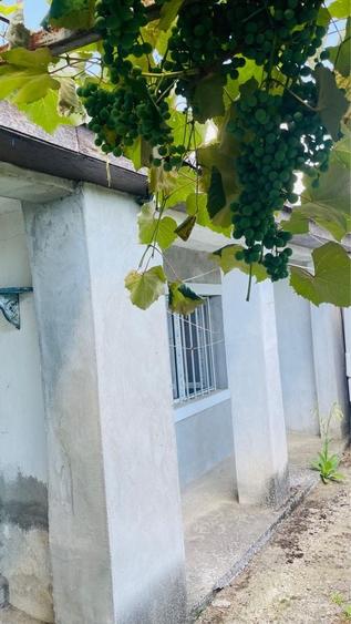 Casă cu 3 camere în Central