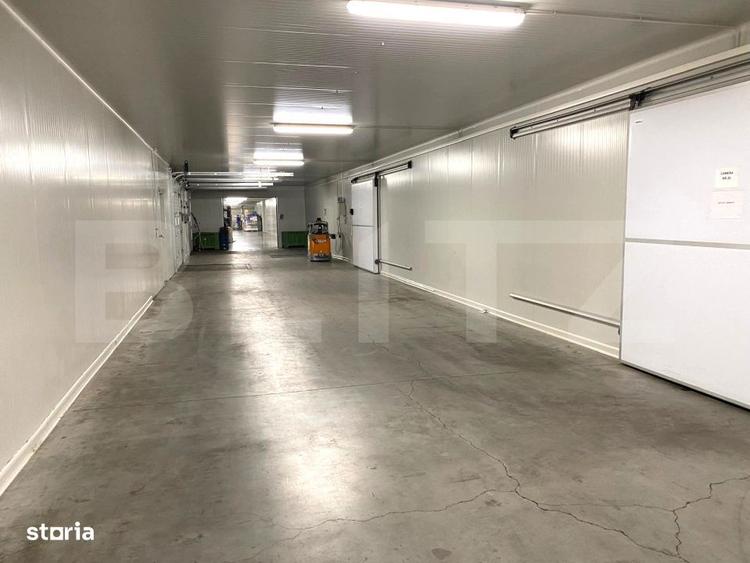 Spațiu comercial, de 6,200 mp, în Seleuș