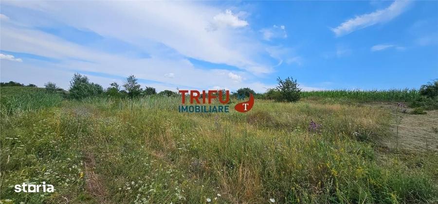 Spațiu comercial, în Ciugud