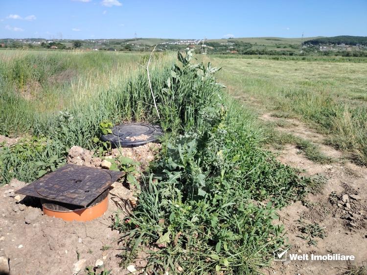 Teren agricol extravilan de 10000 mp, în Jucu de Mijloc