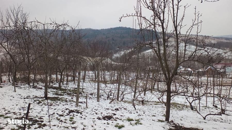 Teren de 704 mp, în Breazu