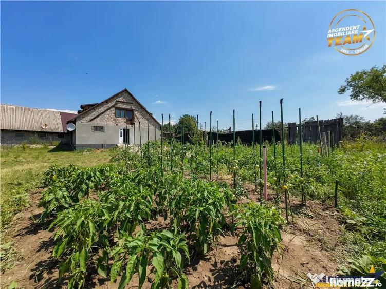 Spațiu comercial, de 260 mp, în Fotoș