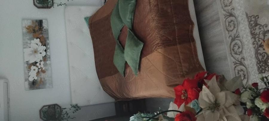 Apartament cu 2 camere semidecomandat în Cina
