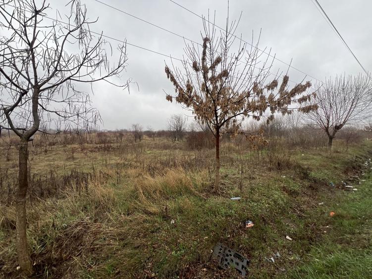 Teren Construcții extravilan de 8874 mp, în Tărtășești