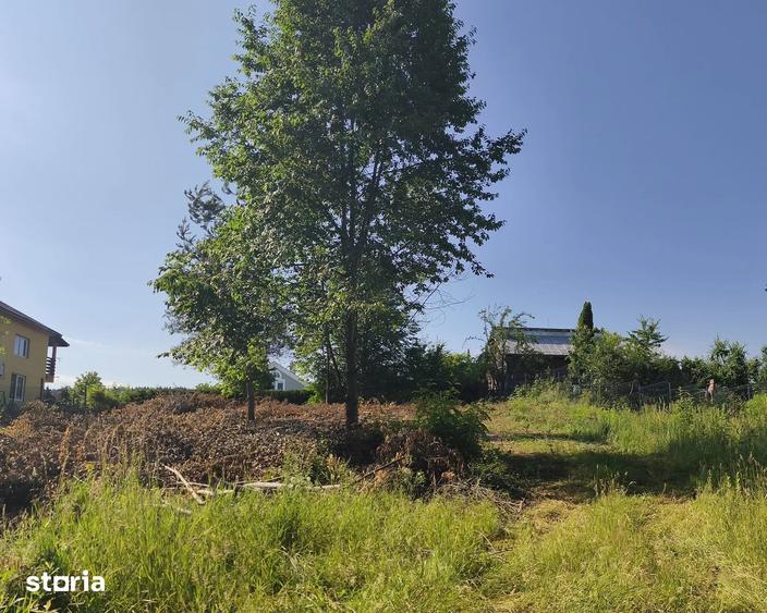 Teren Construcții intravilan de 1815 mp, în Făget