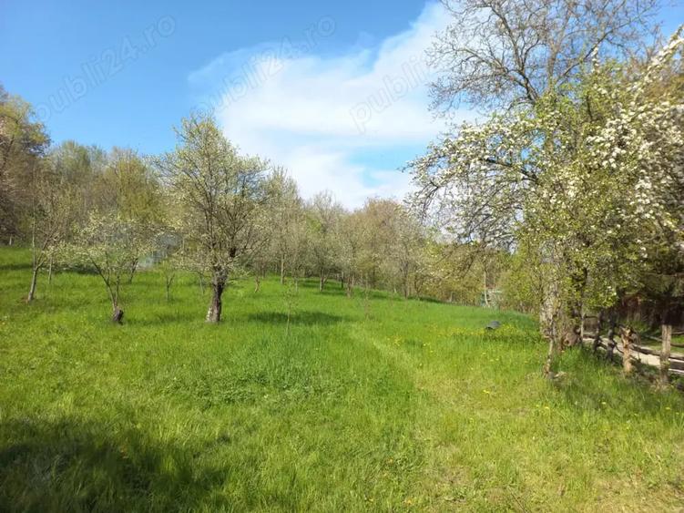 Teren de 1950 mp, în Central