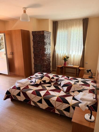Vila Valea Doftanei - 4