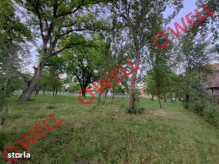 Teren de 1800 mp, în Valea Crișului