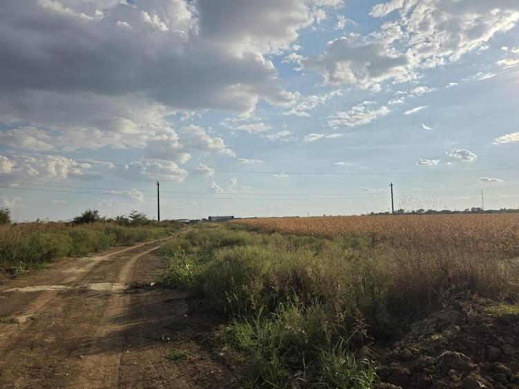 Teren intravilan în Nord-Est
