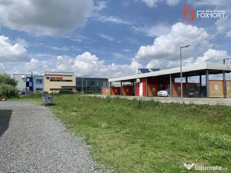 Teren în Lugojului