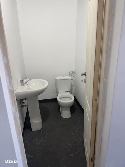 Spațiu comercial, de 310 mp, în Sohatu
