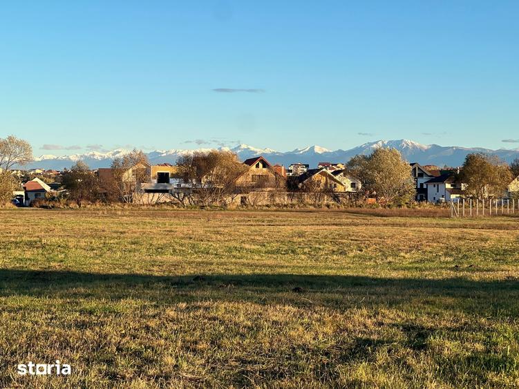 Teren de 445 mp, în Turnișor