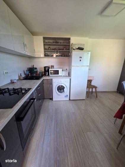 Casă cu 3 camere în Finteușu Mic