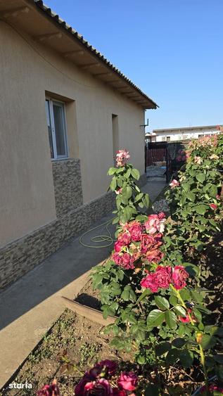 Casă cu 3 camere decomandat cu Teren 627 Mp în Limanu