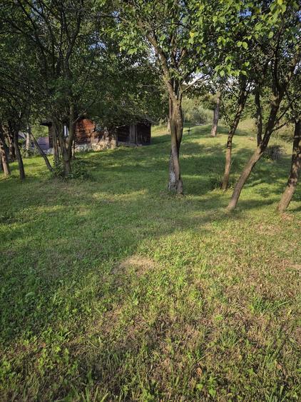 Casă cu Teren 3200 Mp în Central