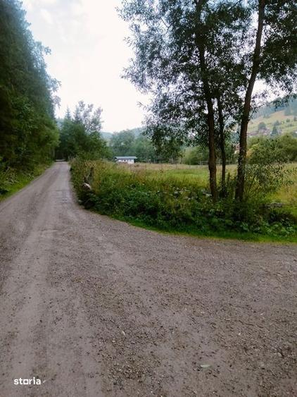 Teren de 1500 mp, în Mitocu Dragomirnei