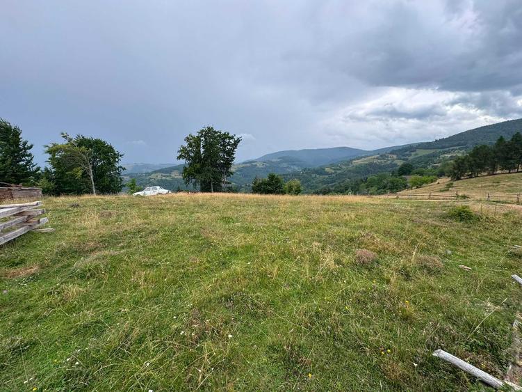Teren de 600 mp, în Poiana Vadului