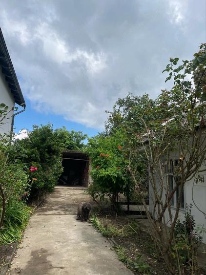 Vand casa si gradina , str. Fagetului nr. 31 - 14