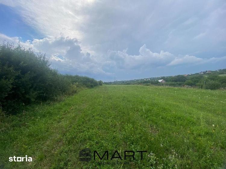 Teren de 8000 mp, în Roșia
