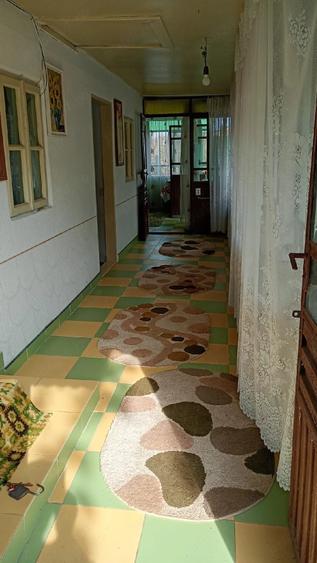 Casă cu Teren 5000 Mp în Grojdibodu
