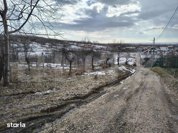 Teren de 10000 mp, în Păulești