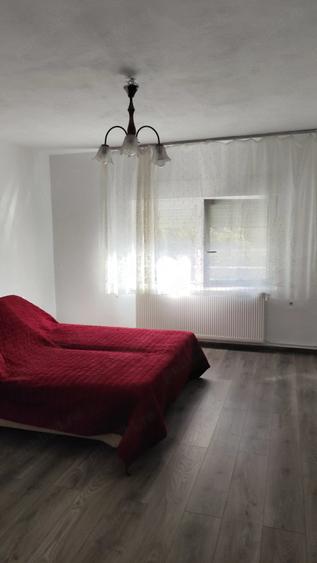 Casă cu Teren 38 Mp în Sălăjeni